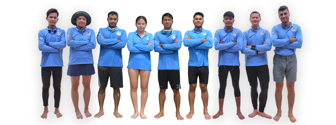 Blue Dolphin Swimming Club | Blue Dolphin Swimming Club